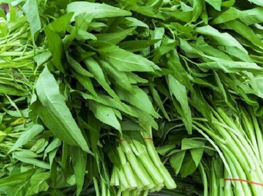 Kangkung