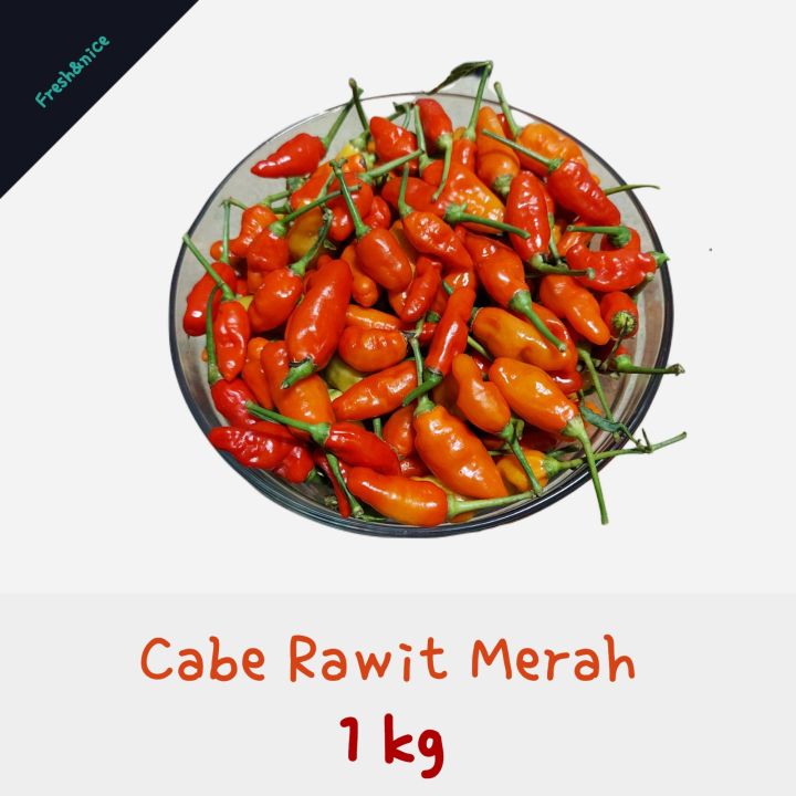 Cabai merah kecil