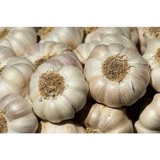 Bawang Putih