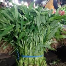 Kangkung