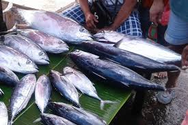 Cakalang (Per Kilogram)