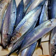 Ikan Kembung / Kawalinya