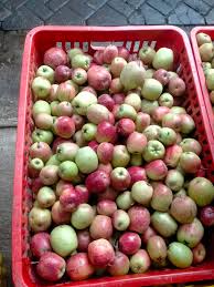 Apel (Ukuran kecil)