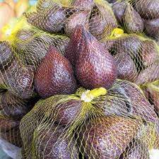 Salak