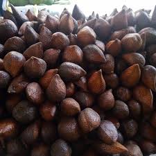 Salak