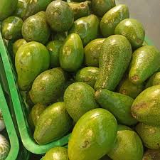 Buah Alpukat