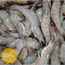 Udang Utuh