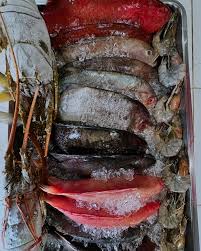 Kerapu/Garopa, Merah/Hitam, Kakap Merah, Sikuda, Bubara, Samandar/Baronang, Gurara, Singaru