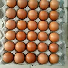 Telur ayam
