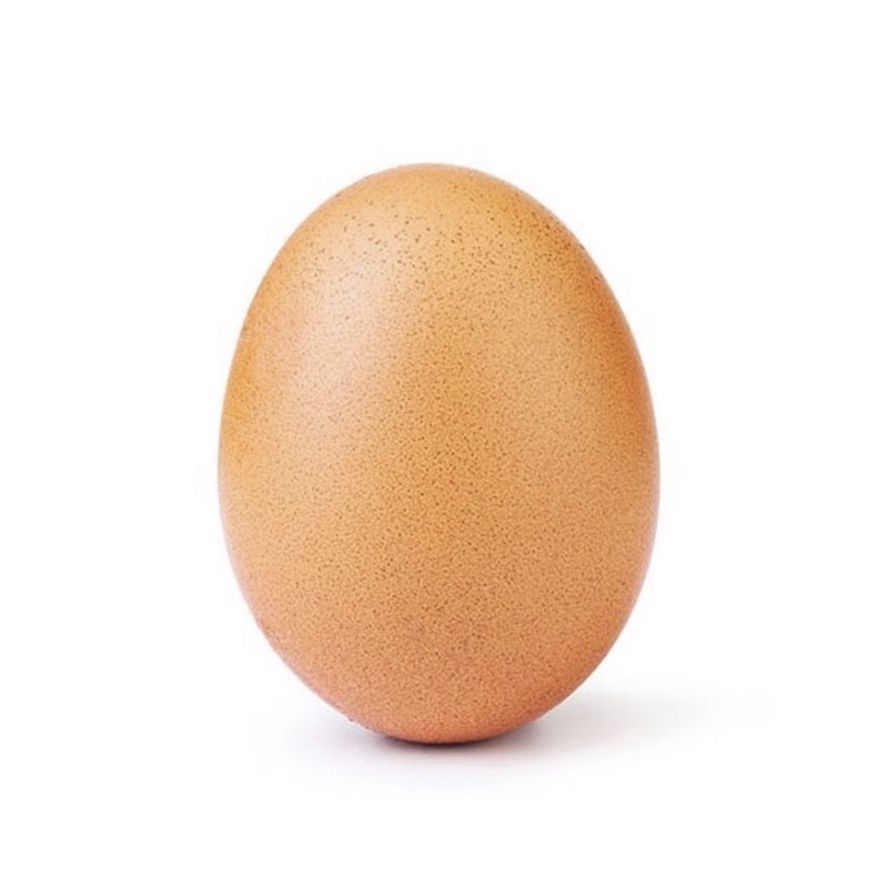 Telur Ayam