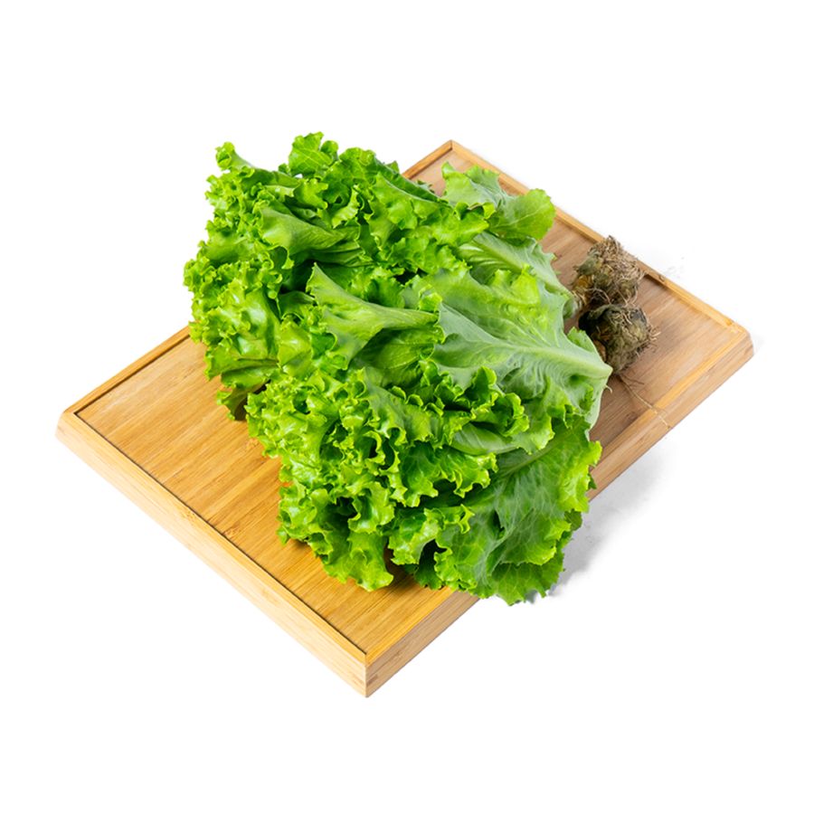 Selada