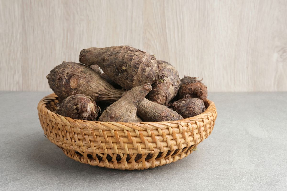 Keladi / Talas