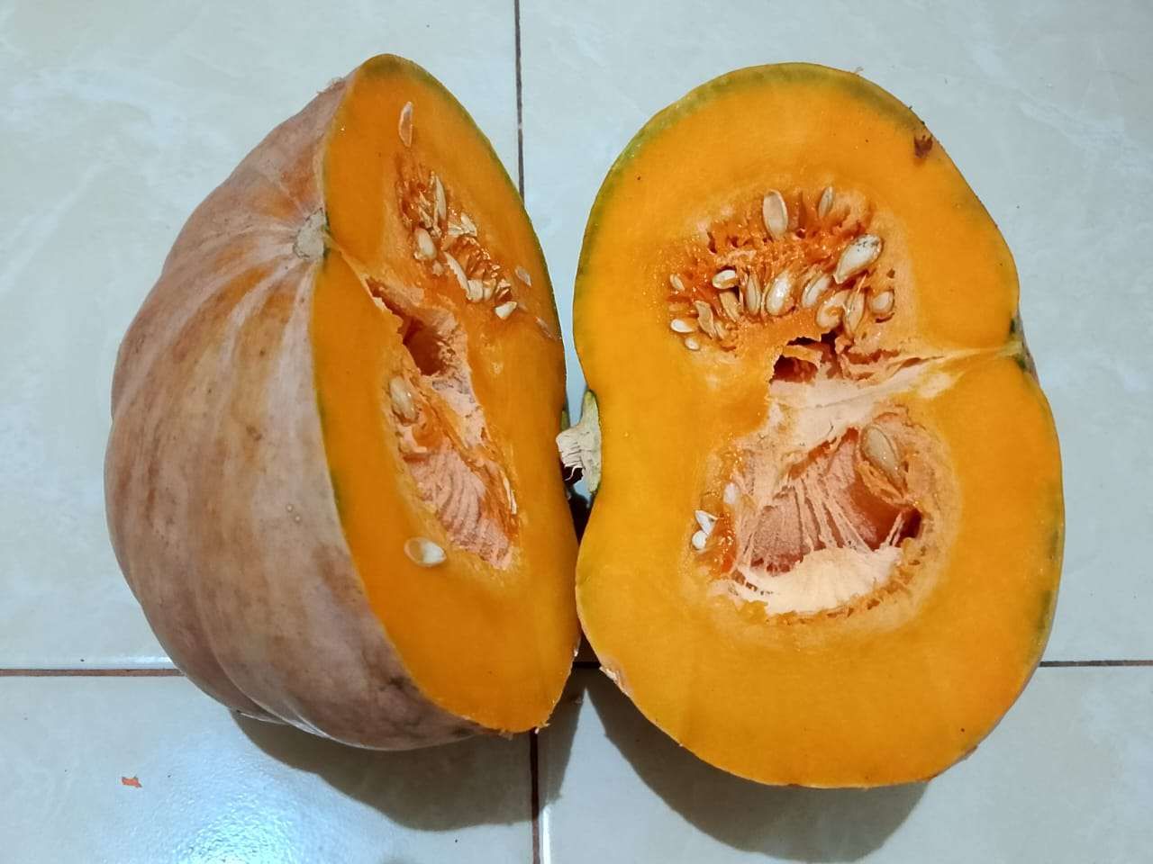 Labu Kuning