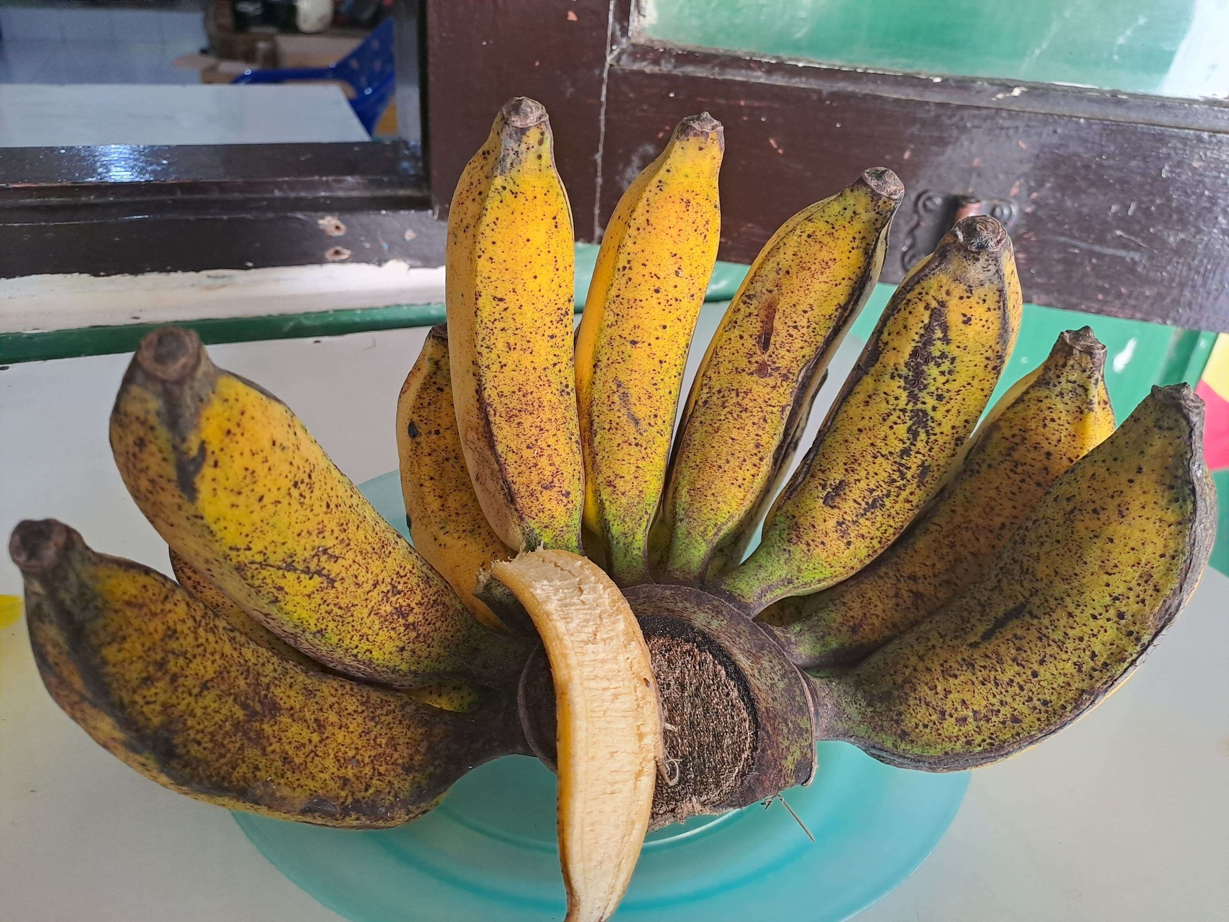 Pisang Raja
