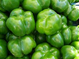 Paprika HIjau