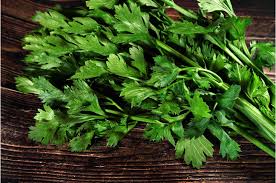 Daun Seledri