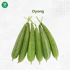Oyong