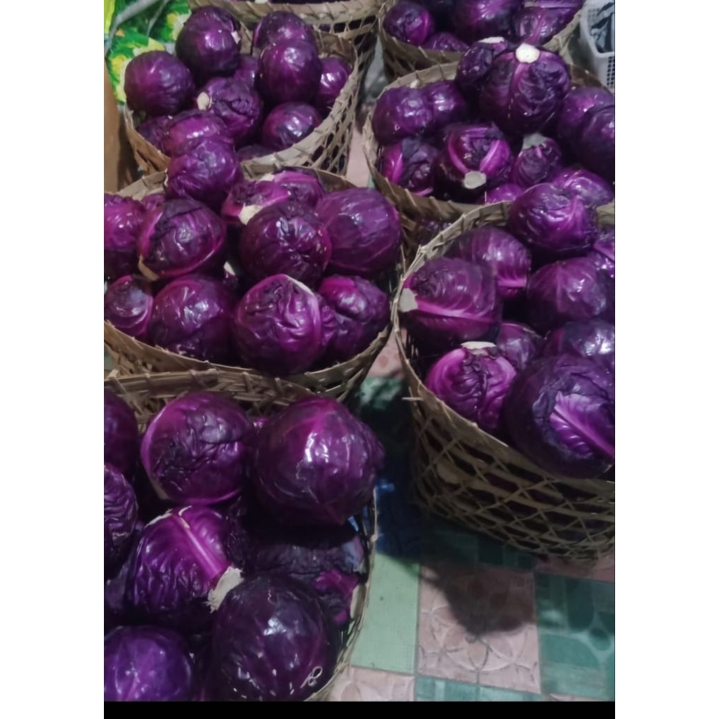 Kol Ungu
