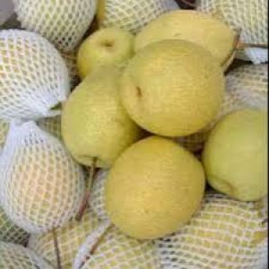 Buah Pir