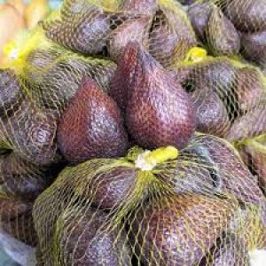 Salak