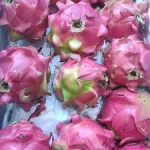 Buah Naga