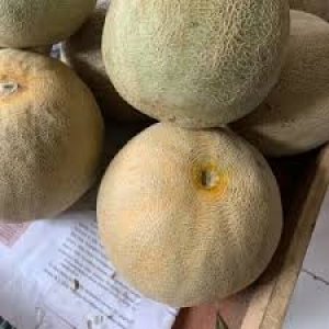 Melon