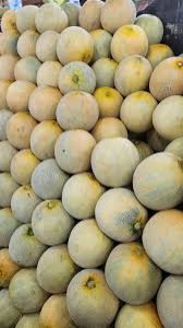 Melon