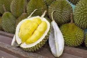 Durian (Ukuran besar)