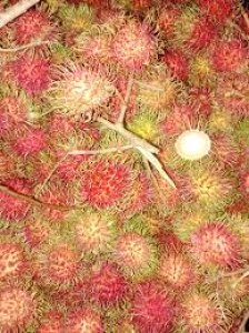 Rambutan Aceh