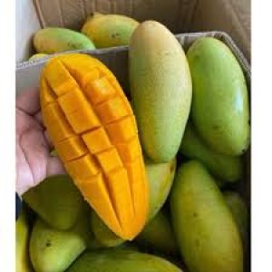 Mangga Golek