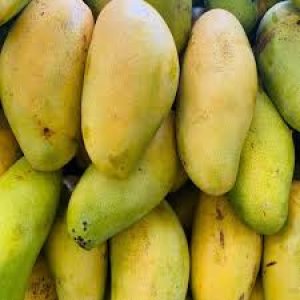Mangga Golek