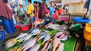 Ikan batu-batu/karang