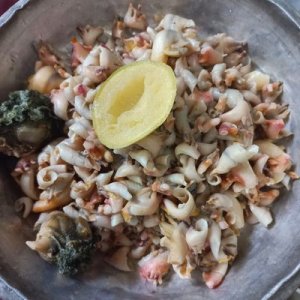 Kerang isi Cipu Lasui/Bia Ronda/Bia Jalla (Per 250 gram)