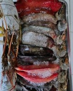 Kerapu/Garopa, Merah/Hitam, Kakap Merah, Sikuda, Bubara, Samandar/Baronang, Gurara, Singaru