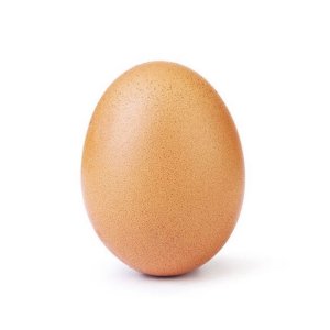 Telur Ayam