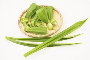 Daun Pandan