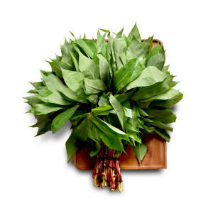 Daun Singkong
