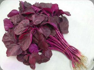 Bayam Merah