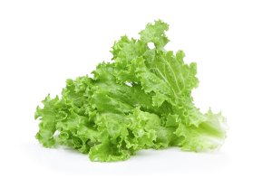 Selada