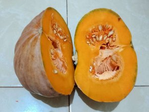 Labu Kuning