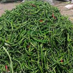 Cabe HIjau