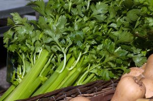 Daun Seledri
