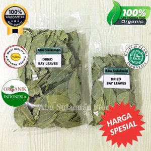 Daun Salam
