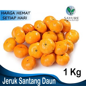 Jeruk Santang