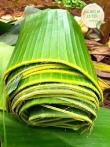 Daun Pisang