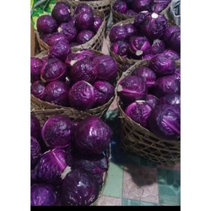Kol Ungu